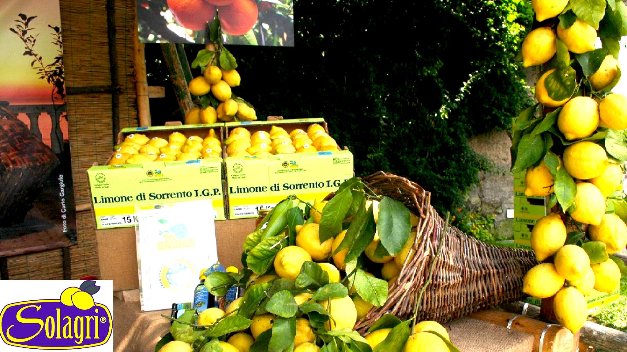 24958658_1761509257221968_2343037915349645609_o (1)